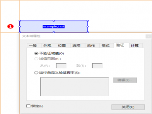 AcroForm 字段(文本域)验证应用