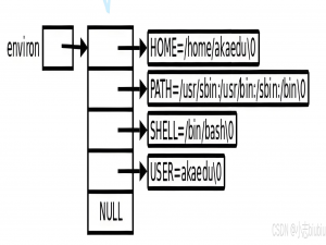 Linux_进程概念(B)-环境变量&进程地址空间【Linux】