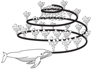 启发式优化算法——鲸鱼算法_鲸鱼优化算法