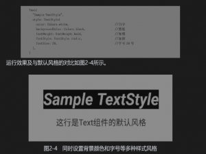 Flutter基础（前端教程①⑧-Text文本-Icon图标-Image图片）