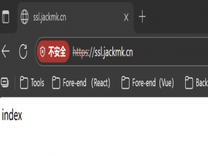 深入理解HTTPS：从概念到实战优化