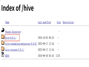 大数据学习栈记——Hive4.0.1安装