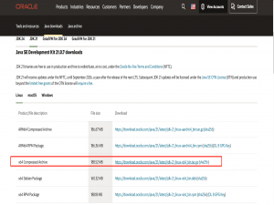 Linux 安装Java JDK21_linux 安装jdk21