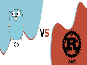 Rust能否取代Go成为云原生主力语言？两者优劣势对比_rust取代go