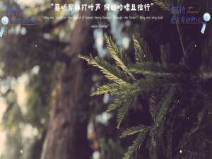 【动态规划 | 01背包】动态规划经典：01背包问题详解