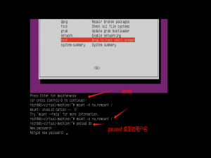 服务器Ubuntu系统进入单用户模式----忘记登入密码_ubuntu忘记密码