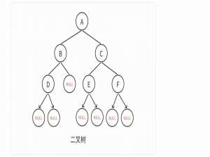 数据结构 二叉树(1)