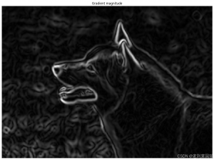 深入了解 OpenCV：C# 开发者的图像处理利器_c# opencv