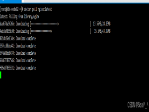 使用Docker安装和配置Nginx：从入门到实践_docker nginx