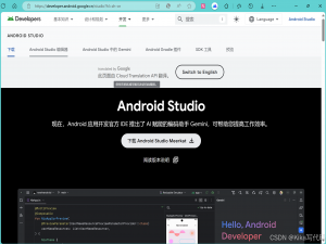 【已解决】最新 Android Studio(2024.3.1版本)下载安装配置 图文超详细教程 手把手教你 小白_androidstudio安装教程及配置环境