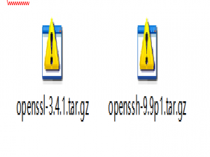 麒麟v10 国产化系统升级openssh_麒麟v10升级openssh