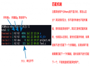 Linux权限管理：从“Permission denied“到系统安全大师