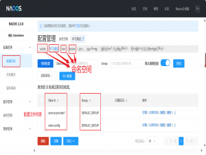 nacos的配置中心