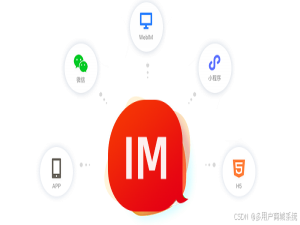 im即时聊天客服系统SaaS还是私有化部署：成本、安全与定制化的权衡策略_im saas