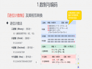数据的表示和运算