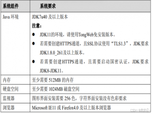 国产化web中间件TongWeb(东方通)部署