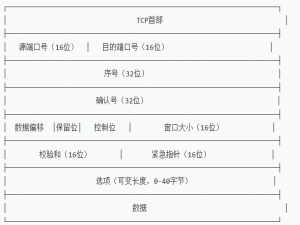 【网络】TCP/UDP协议