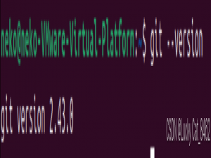 Linux-Ubuntu下的git安装与配置_ubuntu安装git