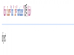 JavaScript的DOM基本操作（上）_JavaScript动态操作HTML节点