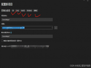 跨平台 WebSocket 服务器的设计与实现 —— 基于.NET 8 的跨操作系统解决方案linux，macos，windows——开发工具