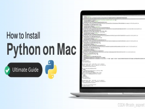 如何在 Mac 上安装 Python _mac安装python