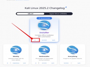kali Linux 2025.2安装教程(解决安装失败-图文教程超详细)_kali2025.2安装