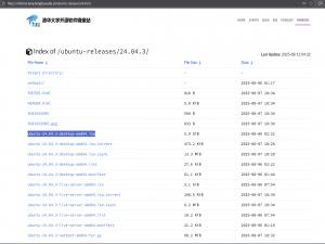 Windows 系统下安装 Ubuntu 双系统详细教程（图文指南）_windows安装ubuntu