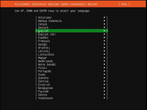 Ubuntu 20.04.4 Server 图文安装教程[含磁盘分区、设置固定IP地址]_ubuntu server安装教程
