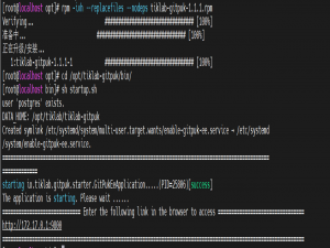 CICD实战(1) - 使用Arbess+GitPuk+Docker快速实现项目打包构建，Docker部署