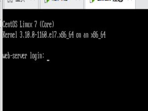 应急响应靶机-Linux(2)