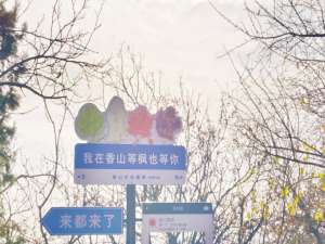 小h的Matlab日记——（二）矩阵的相关操作（上）