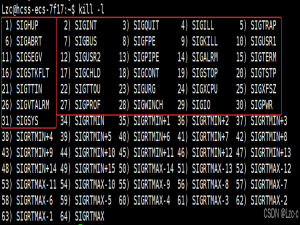 Linux的进程信号
