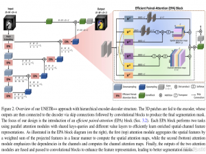 【医疗图像分割】UNETR++论文笔记及代码跑通实践