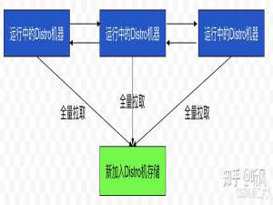 Nacos 一致性协议 Distro协议