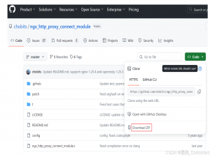 使用 nginx 搭建代理服务器（正向代理 https 网站）指南_nginx正向代理