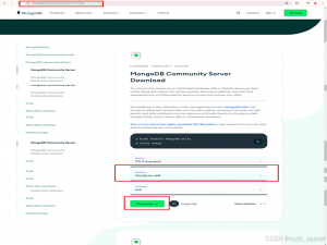 在 Windows 上安装设置 MongoDB及常见问题