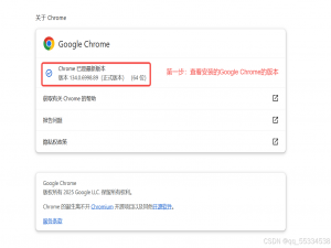 Python跑Web自动化，手动安装chromedriver 134，对应chrome版本134.0.6998（踩坑注意）_chromedriver 134下载