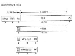 linux-数据链路层