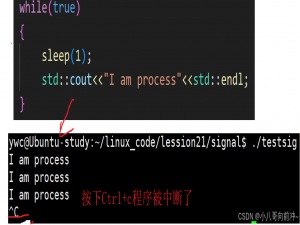 linux信号的产生和保存