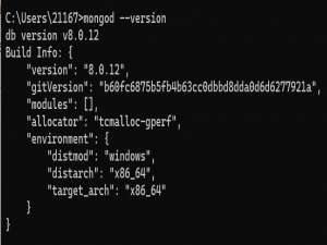vue2+node+express+MongoDB项目安装启动启动