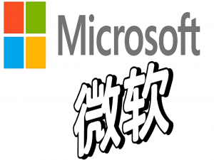 微软产品漏洞现状：2024年风险与防护指南_微软power apps 企业需要做漏洞扫描吗