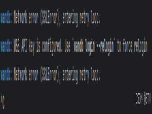 wandb 网络连接问题解决指南--wandb: Network error (SSLError), entering retry loop._wandb: network error (connecttimeout), entering re