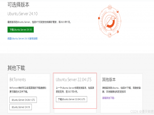 Ubuntu Server 22.04.5 LTS重启后IP被重置问题_ubuntu重启后ip被重置