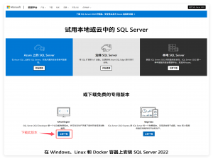 【数据库技术】SQL Server 2022 保姆级安装教程：从下载到配置实例全流程_sqlserver2022安装教程
