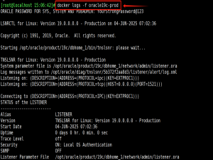 Linux Docker 安装oracle19c数据库