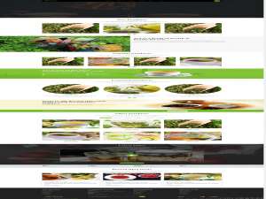 健康茶叶电商网站模板开发#网站建设 #bootstrap #网站定制开发