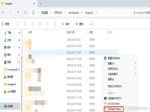 修改git在提交代码时的名称_修改git提交人名字