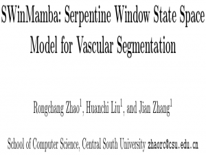 ArXiv 2507 | SWinMamba: Serpentine Window State Space Model for Vascular Segmentation