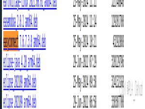 ubuntu 24.04中安装 Easyconnect，并解决版本与服务器不匹配问题_easyconnect ubuntu