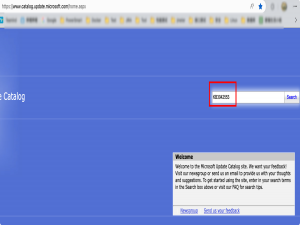 【安全漏洞】补丁下载不再抓瞎！微软官方补丁库使用指南